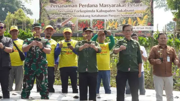 Prosesi penanaman tanaman hortikultura bersama para petani di Desa Sudajaya Girang, Kecamatan Sukabumi, Kamis (2/7/2026). (Sumber : Diskominfosan Kab. Sukabumi)