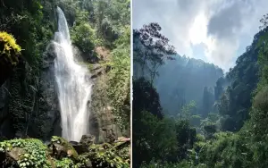 Curug Cikaracak sering disebut sebagai salah satu air terjun paling alami di Bogor (Sumber : Gmaps)