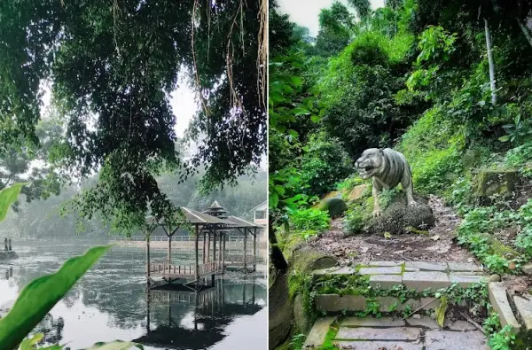 Situ Janawi, salah satu danau alami yang ada di kaki Gunung Ciremai Majalengka (Sumber : Gmaps)