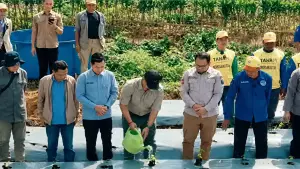 Kepala Dinas Perkim Sendi Apriadi saat Penanaman Perdana Masyarakat Petani di Desa Sudajaya Girang, Kecamatan Sukabumi, Kamis (2/7/2026) | Foto : dok disperkim