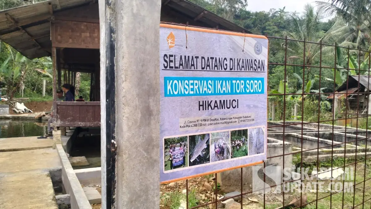 Pusat konservasi ikan tor soro di Cipanas Kabandungan Sukabumi