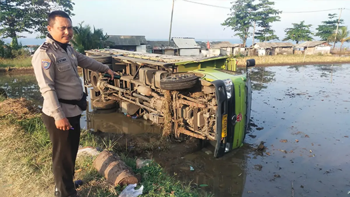 Kaget Ada Tikungan Usai Trek Lurus, Truk Hino Nyungsep ke Sawah di Cisolok Sukabumi