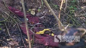Jaket merah yang ditemukan di dekat kerangka manusia yang ditemukan di kebun jati Desa Sagaranten Sukabumi. (Sumber Foto: Istimewa)