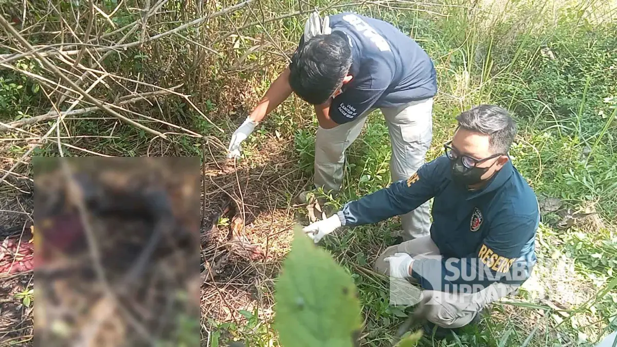 Misteri Kerangka Manusia di Sagaranten Sukabumi, Polisi Amankan Sejumlah Barang Bukti
