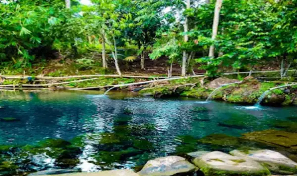 Pemandian Cipalias, salah satu destinasi wisata keluarga yang terjangkau di Serang, Banten. (Sumber : Gmaps/Muhammad Ridwan)
