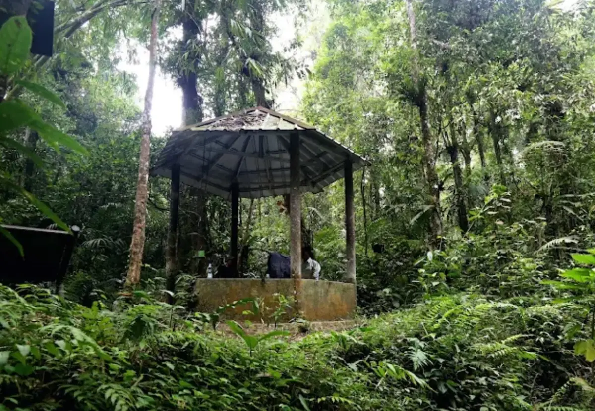 Tempat istirahat di tengah jalur trekking menuju Curug Macan