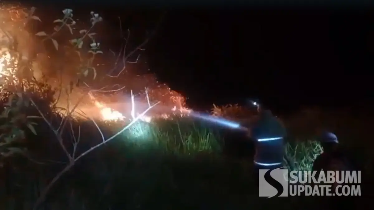 2 Hektare Lahan di Pinggir Tol Bocimi Ciambar Sukabumi Terbakar, Api Padam Usai 4 Jam
