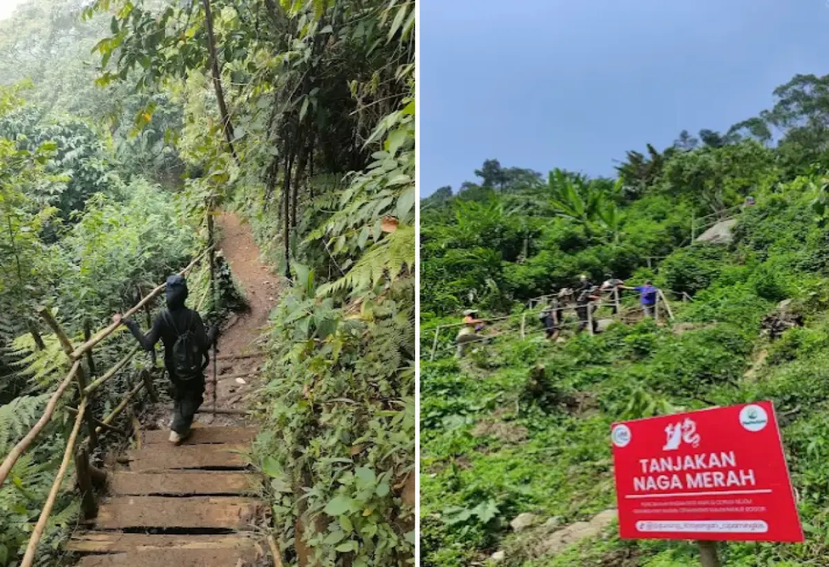 Cari Gunung untuk Pemula? Gunung Khayangan Cipamingkis Punya Trek Mudah dan View Memukau