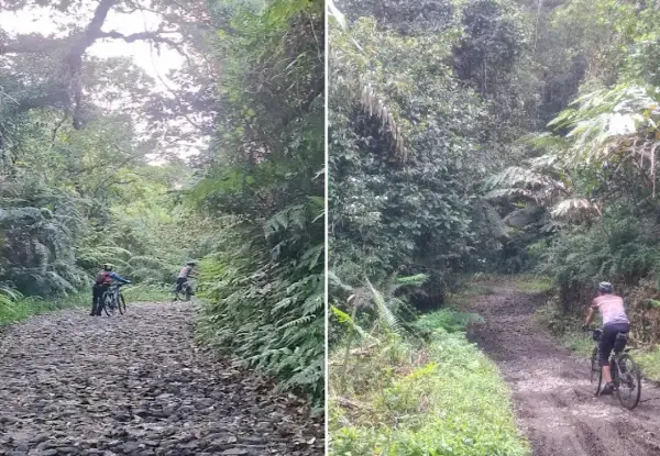 Jalan menuju Curug Ci Kuda Labuh di Kabandungan, Sukabumi (Sumber : Gmaps/Arief Hartono)