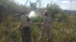 Petugas Posko V Damkar Cibadak  padamkan kebakaran alang-alang di lahan kosong Kampung Babakan, Desa Munjul, Kecamatan Ciambar, Rabu (22/7/2026) malam. (Sumber : Istimewa.)