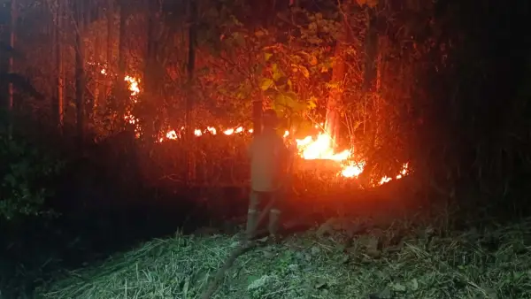 Petugas damkar saat memadamkan kebakaran lahan Kebun Jati di Bantargadung Sukabumi, Kamis malam (23/7/2026). (Sumber Foto: P2BK Bantargadung)