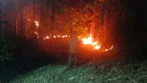 Petugas damkar saat memadamkan kebakaran lahan Kebun Jati di Bantargadung Sukabumi, Kamis malam (23/7/2026). (Sumber Foto: P2BK Bantargadung)