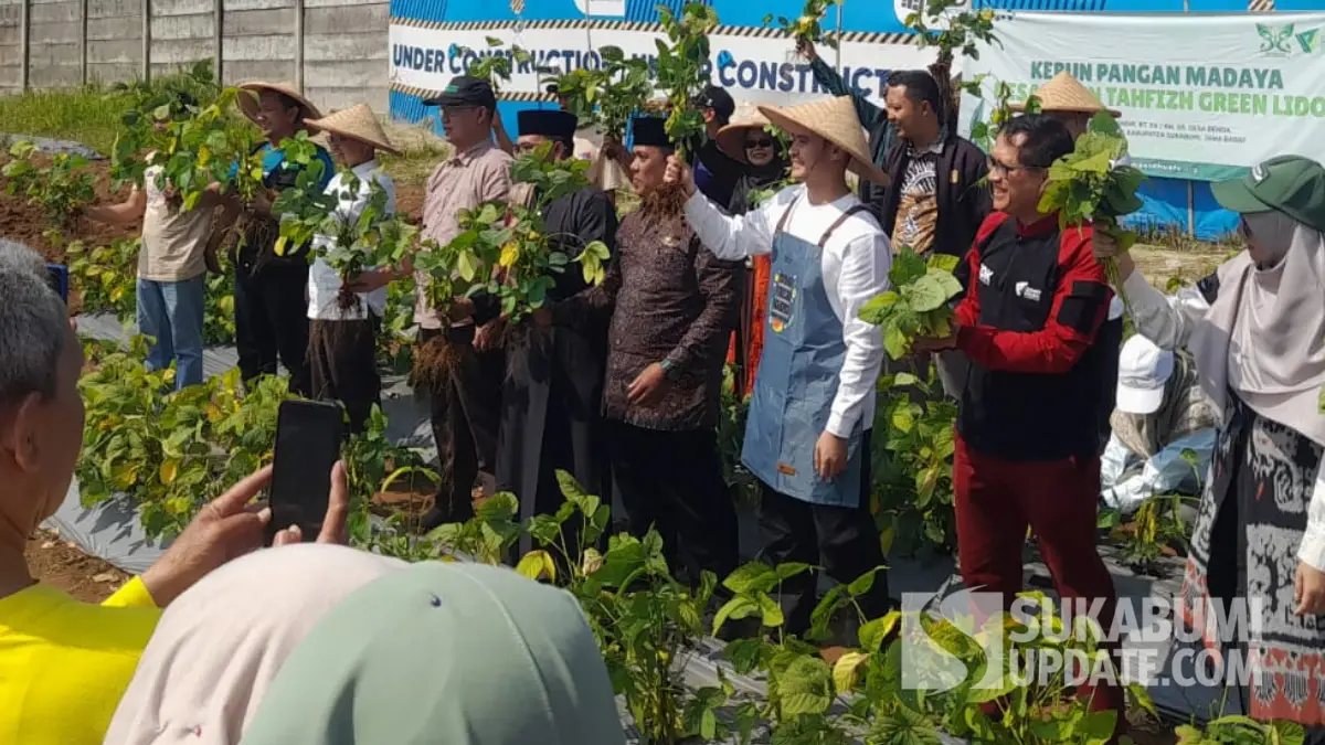Dari Cicurug, Dompet Dhuafa Dorong Warga Sukabumi Ubah Lahan Kosong Jadi Sumber Penghasilan