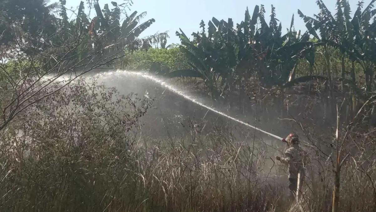 Lahan Alang-alang di Warungkiara Sukabumi Kebakaran, Api Diduga dari Bakar Sampah