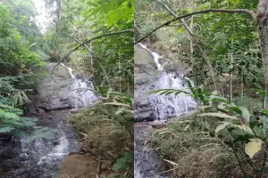 Curug Ima merupakan salah satu air terjun yang ada di daerah Cireunghas, Kabupaten Sukabumi (Sumber : Gmaps/Al Haramain)