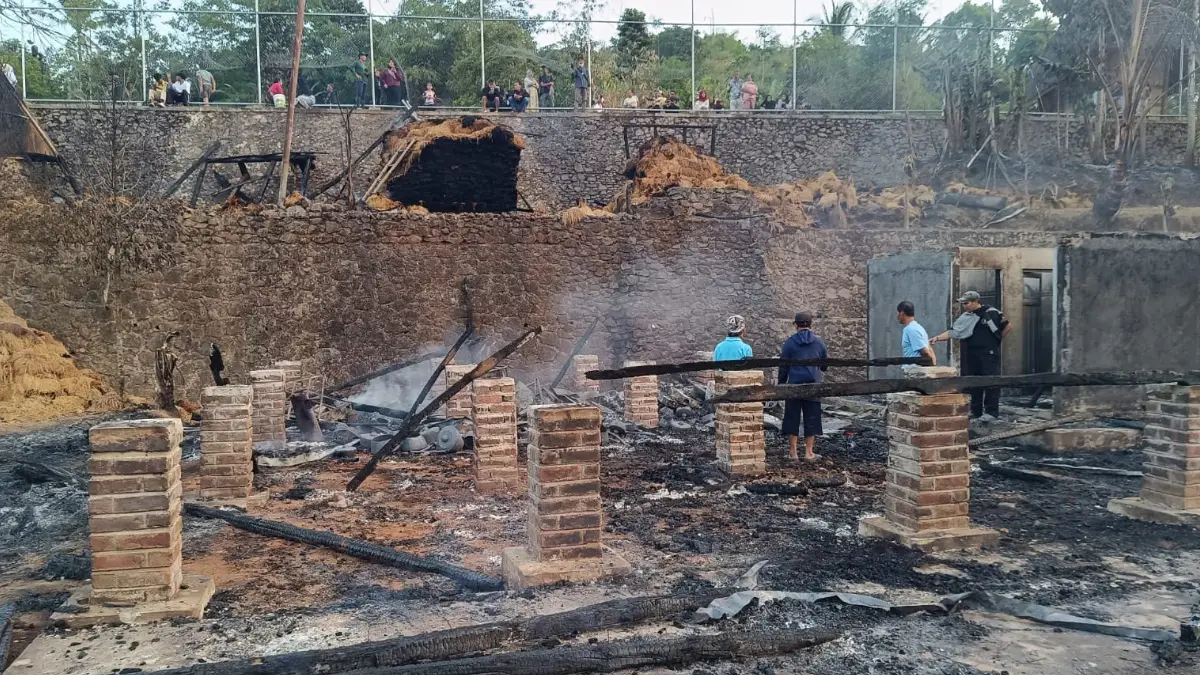 Nasib Padi Simpanan Adat Seren Taun 447, Kebakaran Kasepuhan Ciptamulya Sukabumi