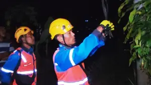 Petugas PLN cek kabel yang dipotong pencuri di daerah sundawenang Sukabumi (Sumber: dok warga)