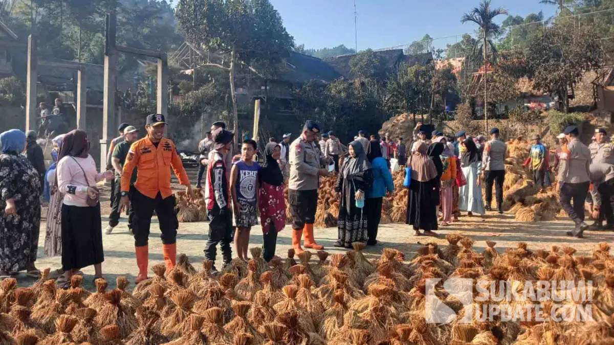 Gotong Royong Warga Kasepuhan Ciptamulya Selamatkan Ribuan Pocong Padi Pascakebakaran