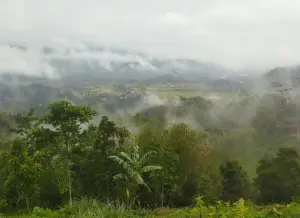 Destinasi wisata alam yang ada di Cireunghas, Kabupaten Sukabumi untuk menghabiskan libur akhir pekan (Sumber : Gmaps/Cikurutug Desa)