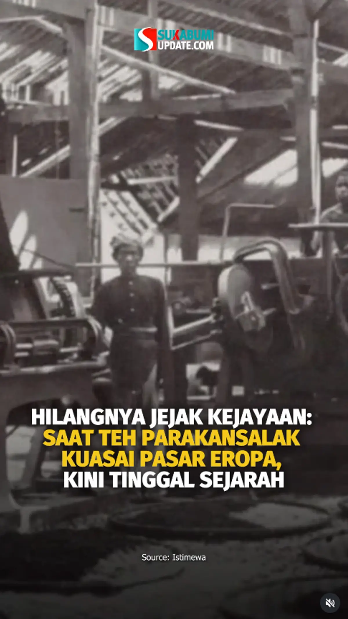 Hilangnya Jejak Kejayaan: Saat Teh Parakansalak Kuasai Pasar Eropa, Kini Tinggal Sejarah