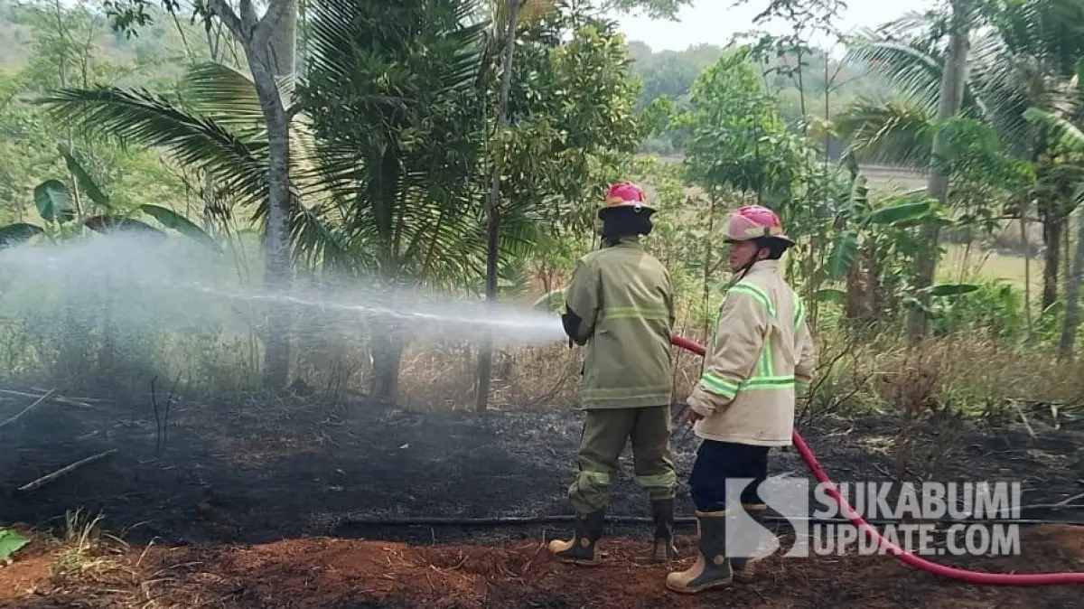 Kebakaran Bekas Kebun Jagung, Api Nyaris Dekati Permukiman Warga Sagaranten Sukabumi