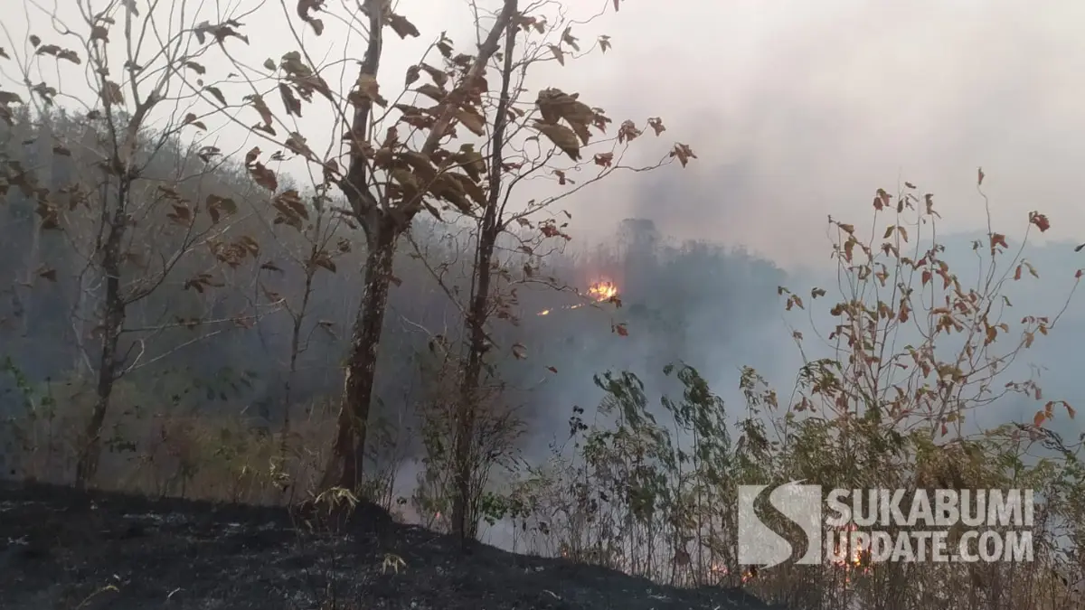 Api Berkobar di Kebun Jati, Warga Ciemas Sukabumi Khawatir Merembet ke Jalan Raya