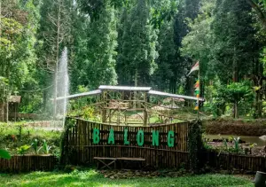 Balong Camp Ground di Pasir Datar Sukabumi bisa jadi tempat berkemah sambil menghabiskan waktu libur akhir pekan bersama keluarga (Sumber : Gmaps/Ade Ruhiyat)