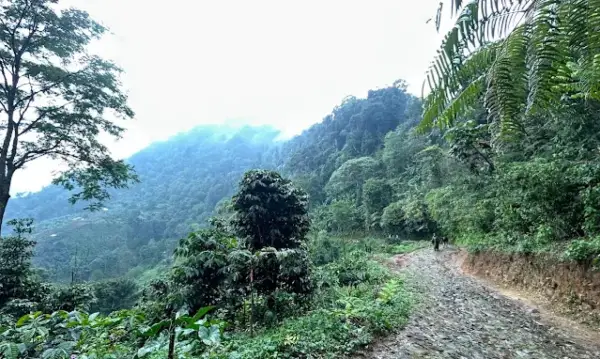 Bukit Cisadon yang bisa dijadikan tujuan berlibur sambil olahraga di akhir pekan nanti. (Sumber : Gmaps/Maya MSD)