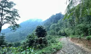 Bukit Cisadon yang bisa dijadikan tujuan berlibur sambil olahraga di akhir pekan nanti. (Sumber : Gmaps/Maya MSD)
