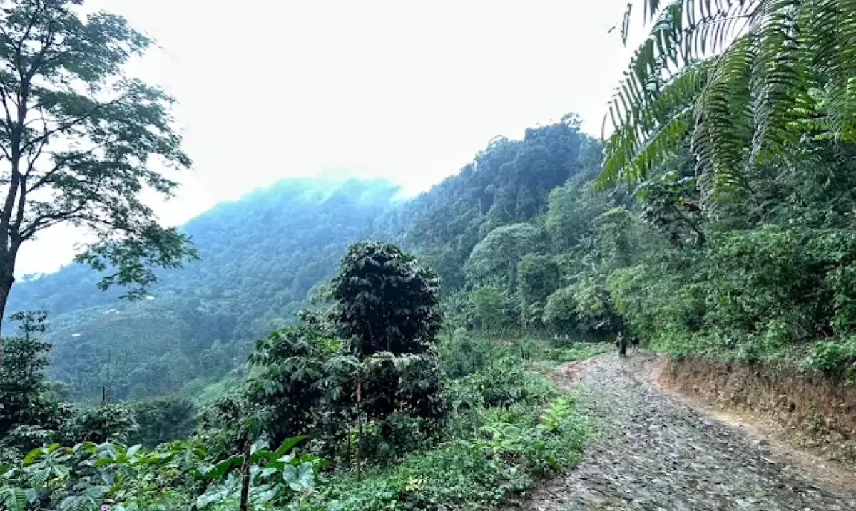 Bukit Cisadon, Destinasi Favorit Pecinta Trekking dan Sepeda yang Masih Asri
