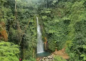 Curug Goa Lumut, salah satu air terjun unik yang ada di kaki Gunung Salak Bogor. (Sumber : Gmaps/Fbrzio Tanjung)