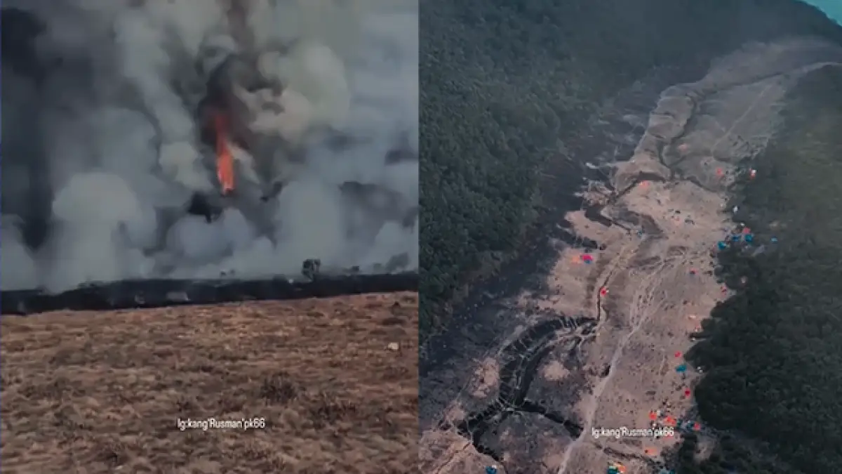 Alun-alun Surken Terbakar, Pendakian Gunung Gede Pangrango Ditutup hingga 11 Agustus 2026
