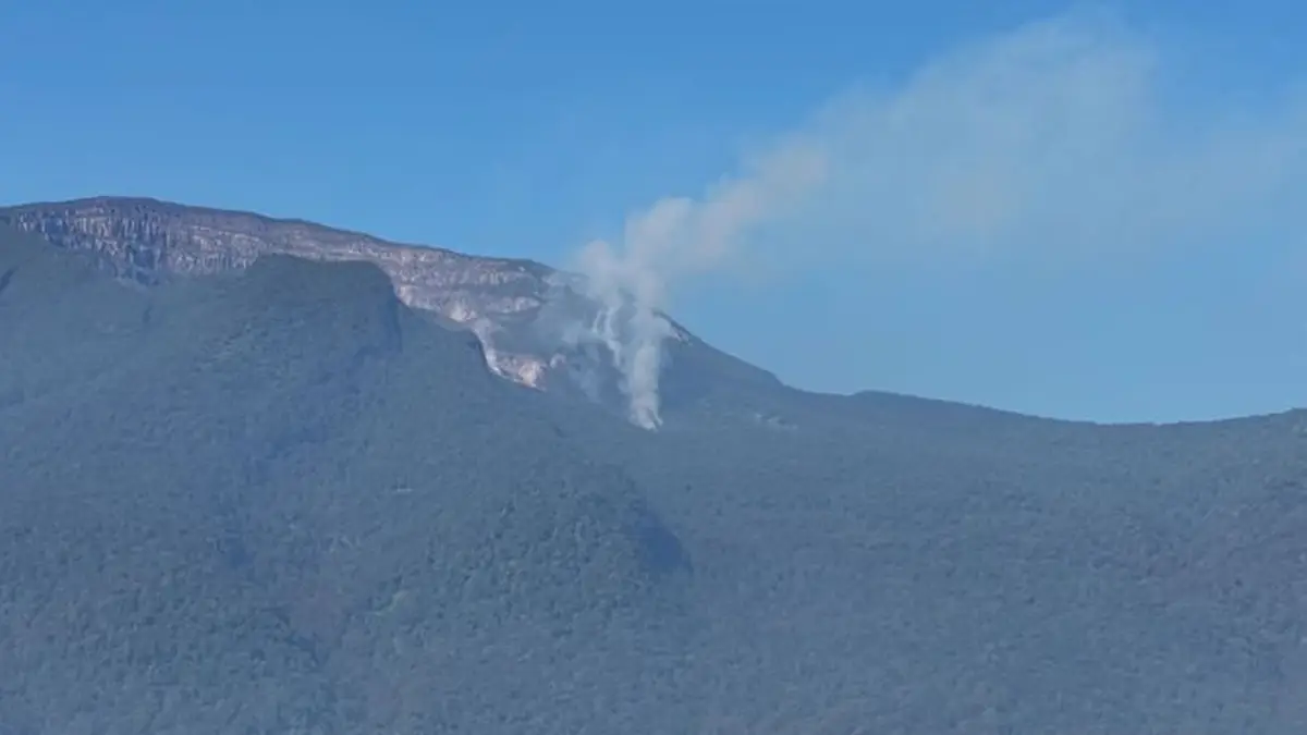 Kebakaran Surken Gunung Gede Pangrango Hanguskan 1 Hektare Lahan, Penyebab Masih Didalami