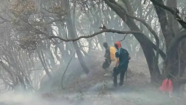 Sejumlah relawan berjibaku memadamkan api yang menghanguskan vegetasi di kawasan sekitar Kawah Wadon Taman Nasional Gunung Gede Pangrango, Jumat (7/8/2026). (Sumber Foto: Dok. Volunter Raindeward1819)