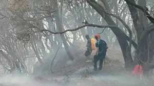 Sejumlah relawan berjibaku memadamkan api yang menghanguskan vegetasi di kawasan sekitar Kawah Wadon Taman Nasional Gunung Gede Pangrango, Jumat (7/8/2026). (Sumber Foto: Dok. Volunter Raindeward1819)