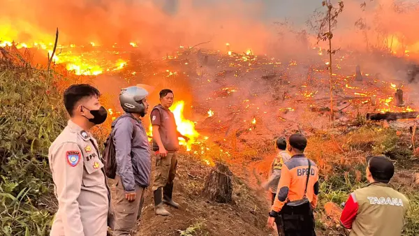 Kebakaran hutan dan lahan (karhutla) melanda kawasan Perum Perhutani di Desa Bojongjengkol, Kecamatan Jampangtengah, Kabupaten Sukabumi. (Sumber: Istimewa)