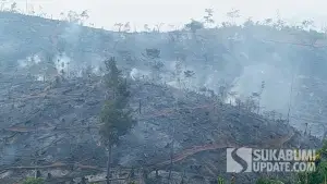 Kondisi lahan Perhutani BKPH Bojonglopang, RPH Nangka Tepus, Desa Bojongjengkol, Kecamatan Jampangtengah, Kabupaten Sukabumi, pascakebakaran hutan dan lahan (karhutla), Senin (10/8/2026). (Sumber Foto: Istimewa)