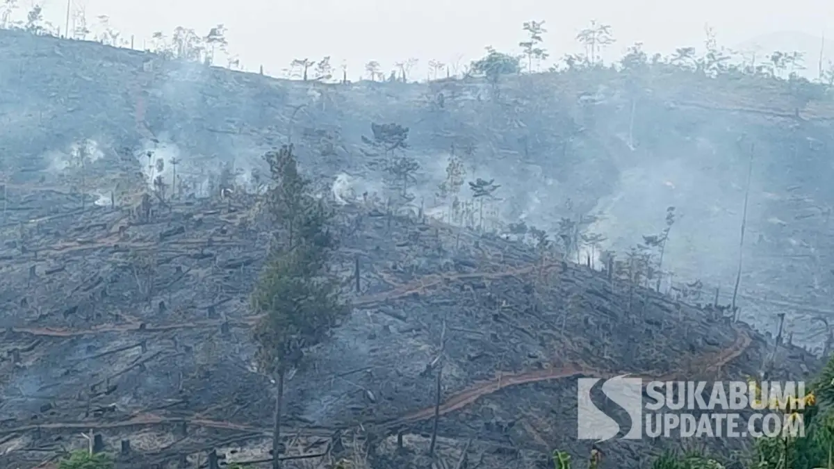 Karhutla di Jampangtengah Sukabumi Sulit Padam, Bara Masih Tersisa di Lahan Pinus
