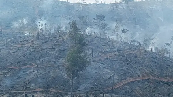 Penampakan kebakaran hutan di Jampangtengah, Kabupaten Sukabumi. (Sumber: Istimewa)