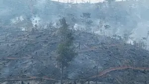Penampakan kebakaran hutan di Jampangtengah, Kabupaten Sukabumi. (Sumber: Istimewa)