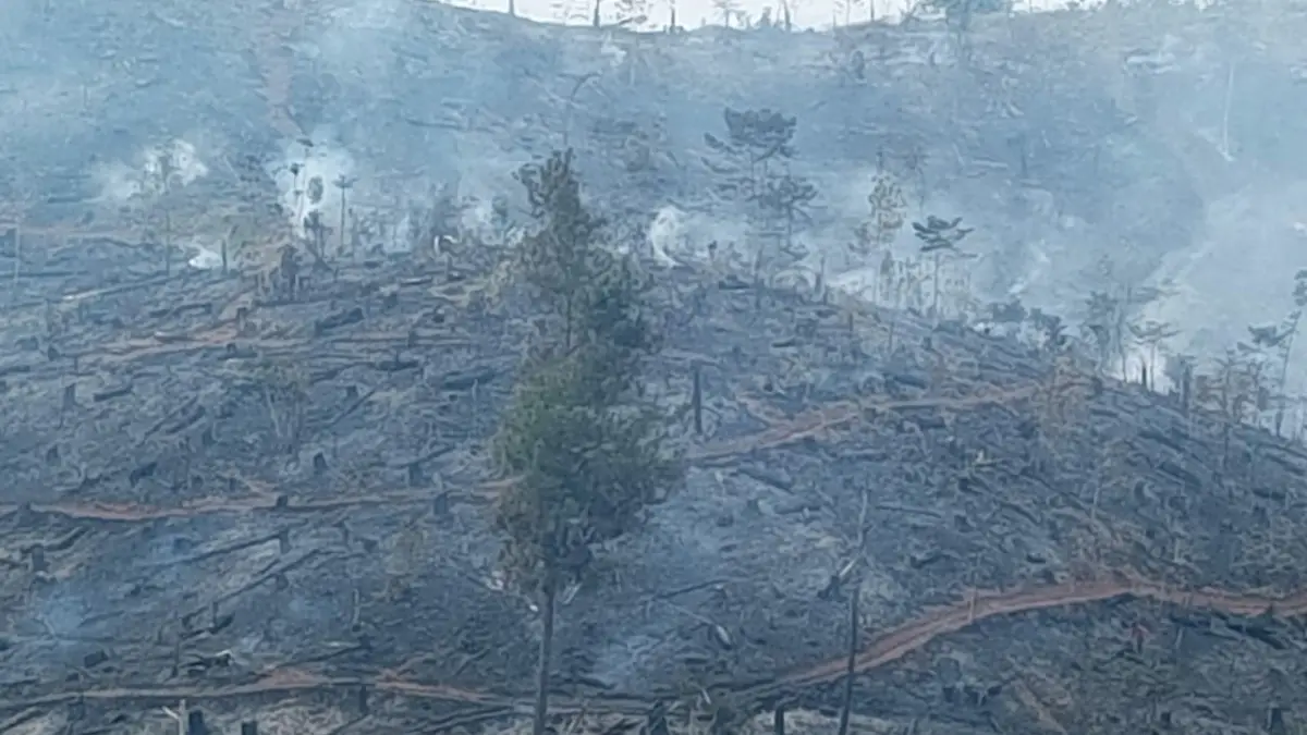 Karhutla di Jampangtengah Sukabumi Meluas, 65 Personel Berjibaku Padamkan Api