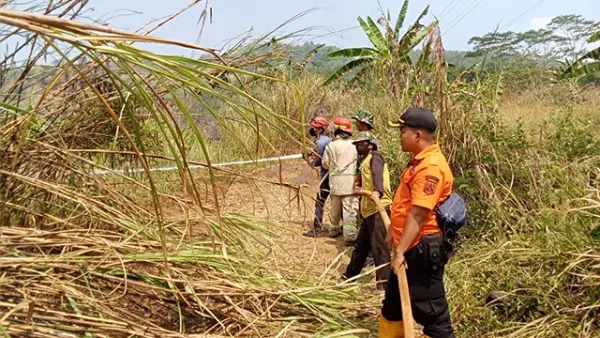 Petugas melakukan pemadaman kebakaran lahan ilalang di Kampung Hegarsari, Desa Sekarwangi, Kecamatan Cibadak, Kabupaten Sukabumi, Selasa (11/8/2026). (Sumber : Istimewa.)
