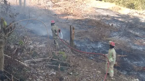 Petugas Damkar saat proses memadamkan lahan alang-alang yang terbakar di Kampung Cikarang RT 06/RW 02, Desa Ciracap, Kecamatan Ciracap, Kabupaten Sukabumi, Selasa (11/8/2026). (Sumber : Istimewa.)
