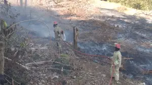 Petugas Damkar saat proses memadamkan lahan alang-alang yang terbakar di Kampung Cikarang RT 06/RW 02, Desa Ciracap, Kecamatan Ciracap, Kabupaten Sukabumi, Selasa (11/8/2026). (Sumber : Istimewa.)