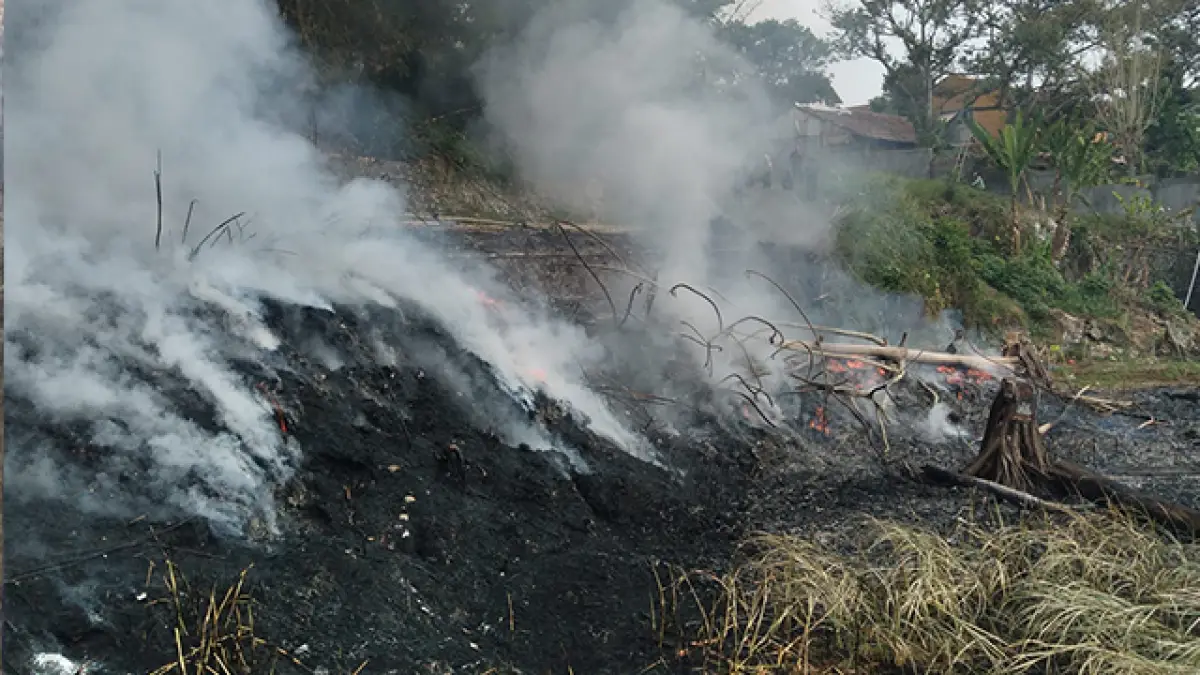 Buka Lahan-Bakar Sampah Ditinggal Pergi, Api Hanguskan Lahan 3.000 Meter Persegi di Parungkuda