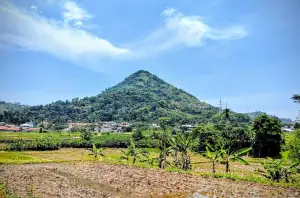 Gunung Lalakon, salah satu gunung unik berbentuk kerucut yang ada di kawasan Bandung. (Sumber : Gmaps/X-mount Adventure)