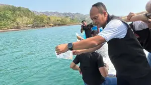Kasatreskrim Polres Sukabumi, Iptu Dudi Suharyana saat melepasliarkan benur hasil pengungkapan kasus penyelundupan. (Sumber Foto: Dok. Polres Sukabumi)