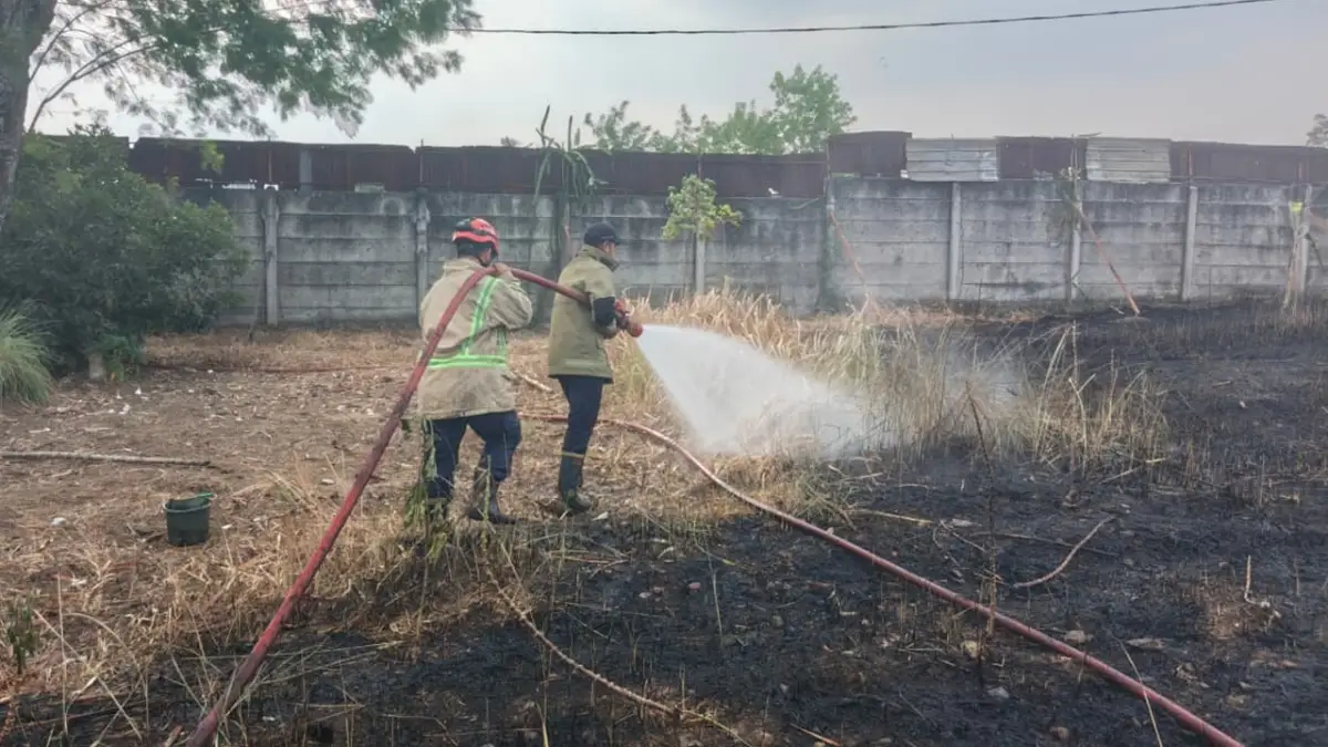 Lahan Kosong Milik Pabrik Saus di Cibadak Terbakar, Api Melahap 1.000 Meter Persegi