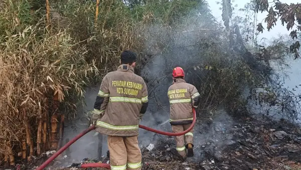 Petugas Pemadam Kebakaran Kota Sukabumi saat menjinakan api yang membakar lahan bambu di Cibeureum. Jumat (14/8/2026). (Sumber: Istimewa)