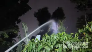 Pohon beringin tua setinggi sekitar 40 meter di Kampung Pintu RT 01/09 Kelurahan Cibadak, Kecamatan Cibadak, Kabupaten Sukabumi, terbakar pada Minggu (16/8/2026). | Foto: Istimewa